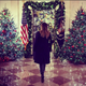 Image for article titled Melania, Among Trees